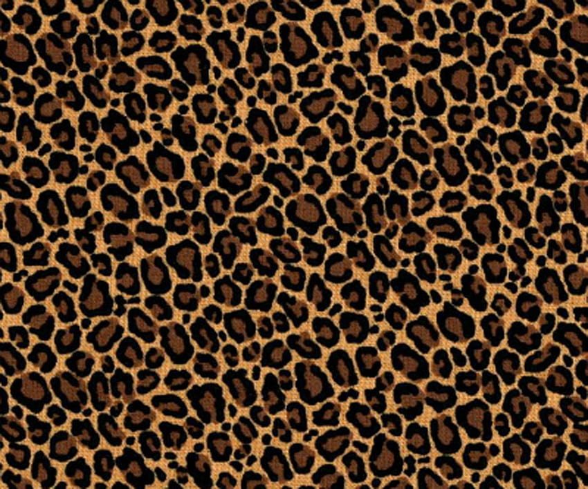 Pelle di leopardo, motivo, pelle di leopardo HQ., Stampa leopardata Sfondo HD