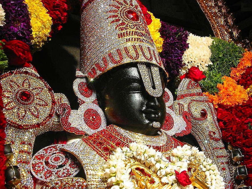 Najwyższy Lord Wenkateśwara. Bałaji. Galeria hinduska w 2020 roku. Lord balaji, Lord Vishnu, Lord, Lord Perumal Tapeta HD