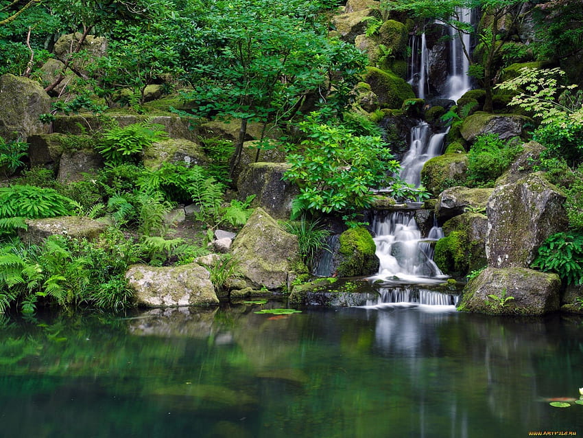 Wasserfälle, Fluss, Wald, Baum HD-Hintergrundbild