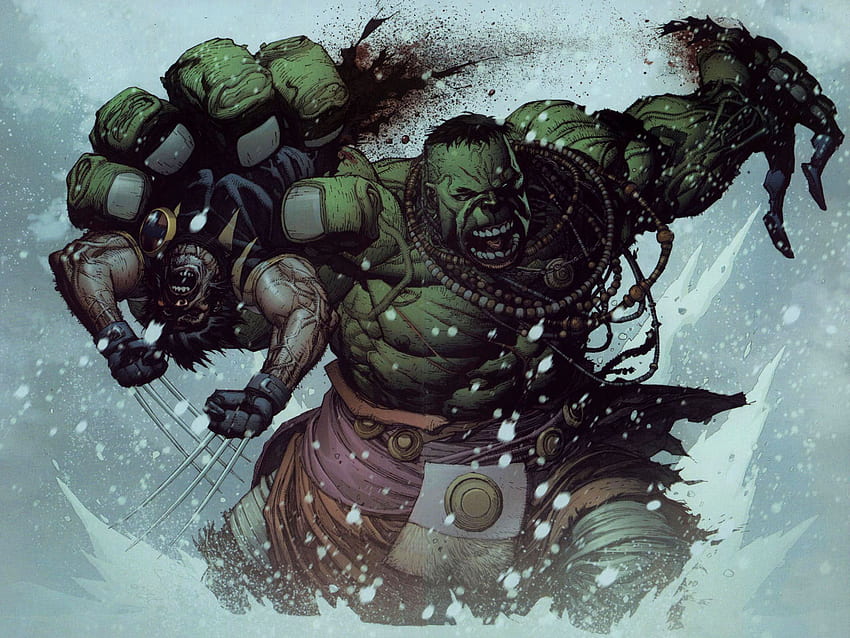 Hulk & wolverine, wolverine, cg, 3d, hulk HD wallpaper