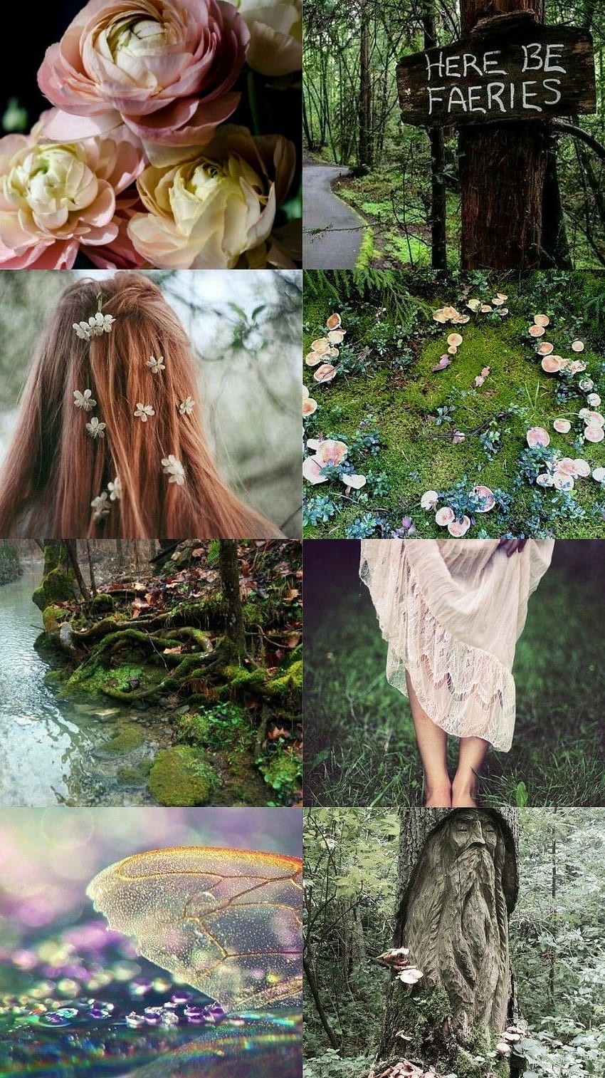 森の妖精の美学、美学の庭 HD電話の壁紙