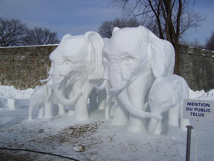 elephant ice sculpture. White Elephant Gift Exchange HD wallpaper