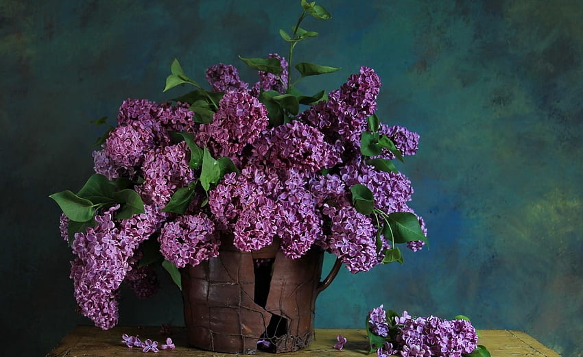 Bunga, Daun, Lilac, Cabang, Karangan Bunga, Musim Semi Wallpaper HD