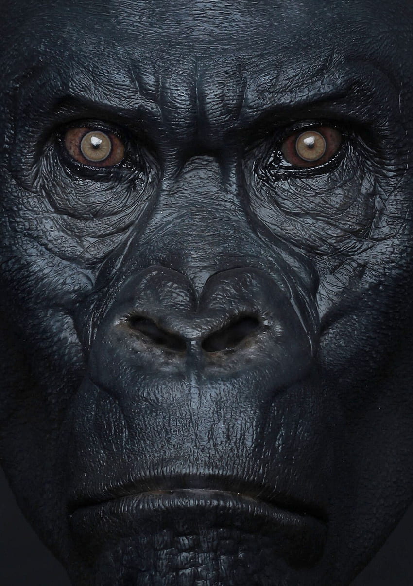 ArtStation - Die Legende von Tarzan / Akut, Hatch-Effekte. Gorilla Tattoo, Gorillas Kunst, Gorilla HD-Handy-Hintergrundbild