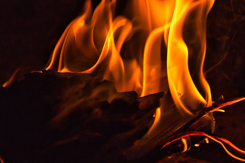 Fire, Bonfire, Dark, Flame, Firewood, Combustion HD wallpaper