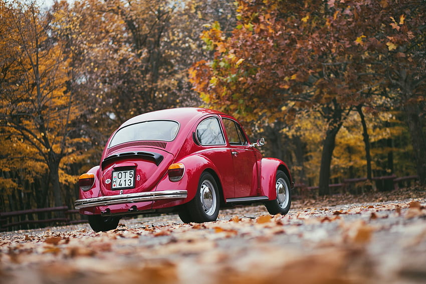 Low Angle Of Red Volkswagen Beetle, Volkswagen Fusca HD wallpaper