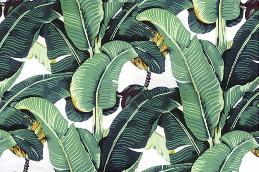 Tropical Leaf Pattern in 2019. Palm leaf , Plant, Tropical Leaves HD wallpaper