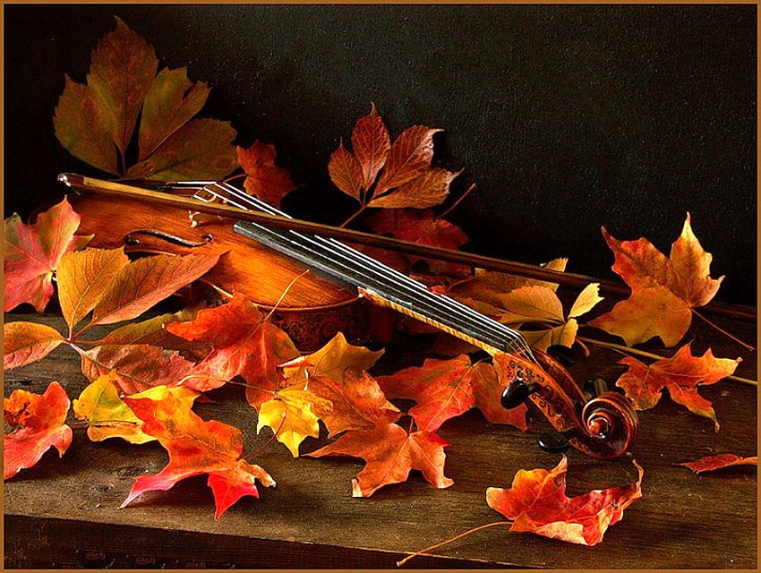 Autumn romance, song, dried leaves, romance, violin, sad, quiet, abstract, yellow, autumn, nature, romantic HD wallpaper