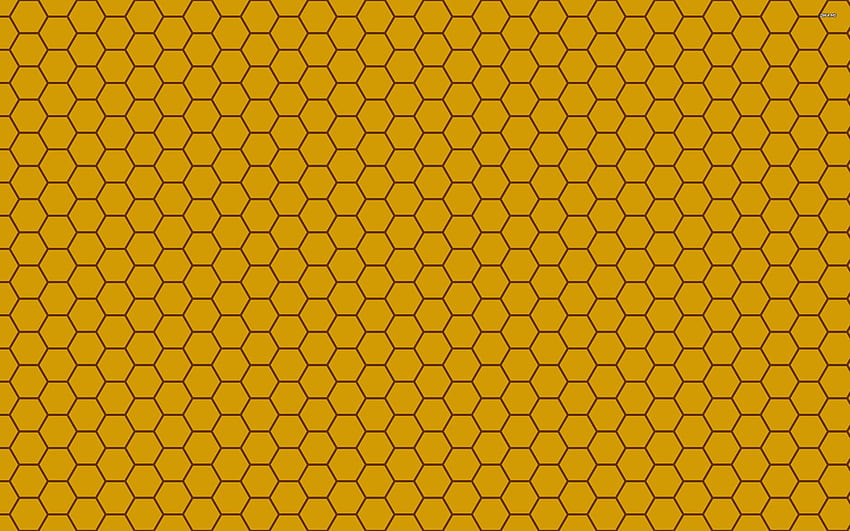 Пчелна пита, модел на пчелна пита HD тапет