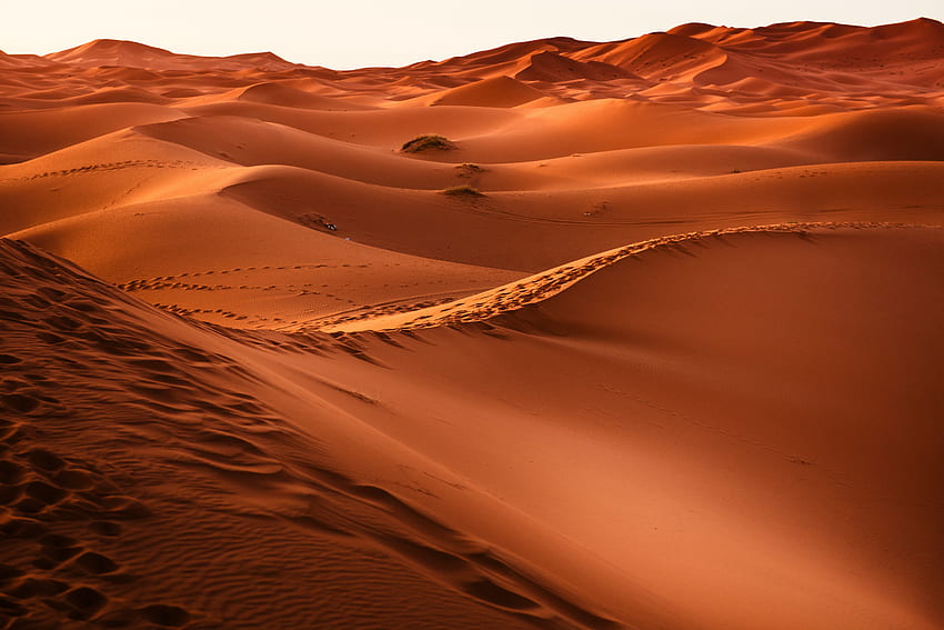 モロッコ、砂漠、砂、砂丘 高画質の壁紙