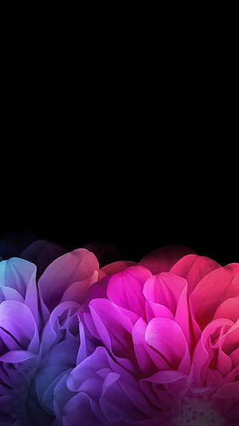 Dark floral iphone HD wallpapers | Pxfuel