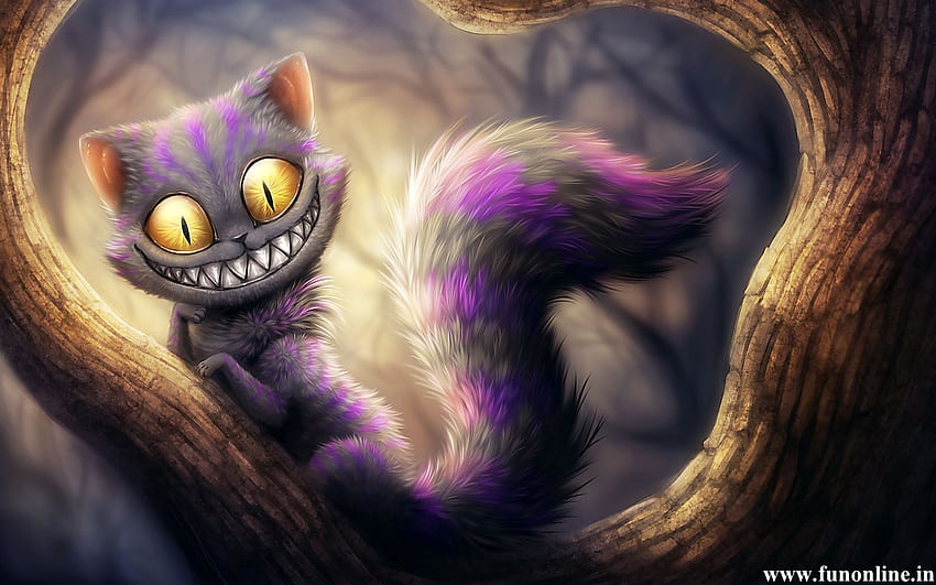 Creepy Cute, Scared Cat HD wallpaper