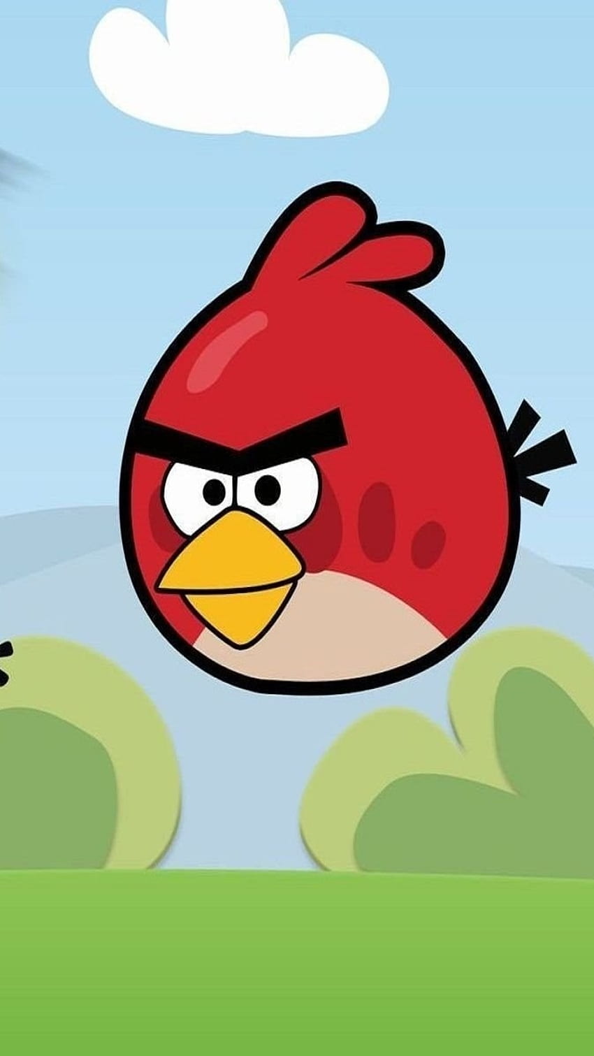 Angry Birds, Game, Cartoon HD phone wallpaper | Pxfuel