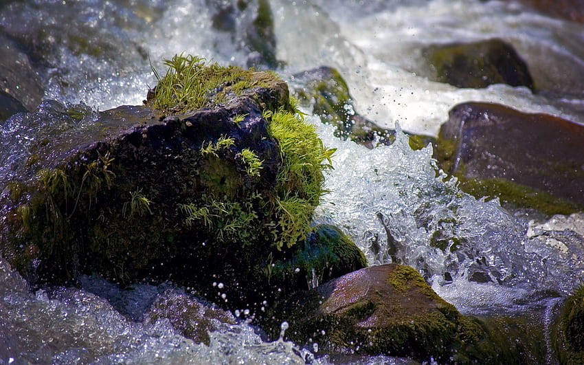 Nature, Water, Rivers, Stones, Drops, Spray, Moss HD wallpaper