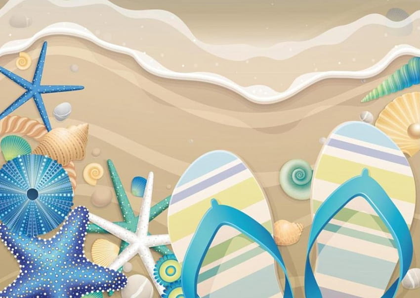 Musim panas, bintang laut, cangkang, kerang, bintang laut, pasir Wallpaper HD