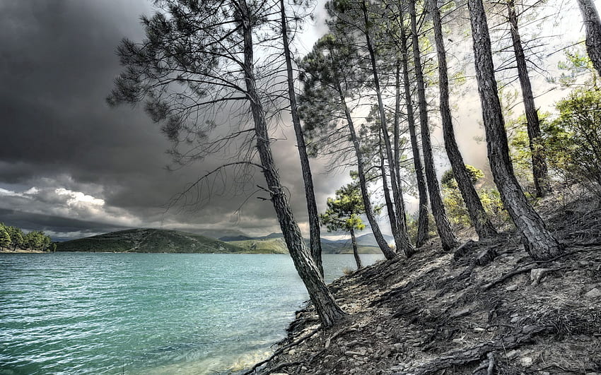 Nature, Rivers, Trees, Shore, Bank HD wallpaper
