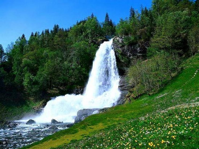 Schöner Wasserfall, Wasserfälle, schön, Gras, Wasserfall, Bäume, Natur, Blumen, Wasser, Wald HD-Hintergrundbild