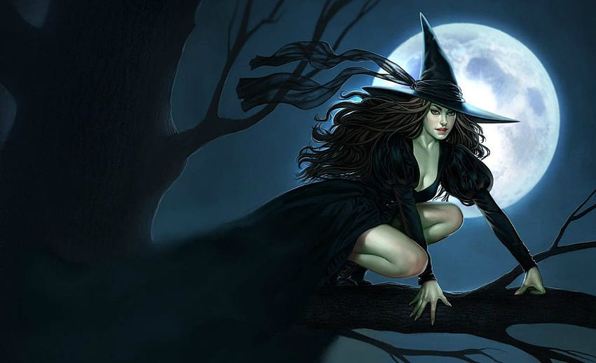ing beautiful black witch Background [] for your , Mobile & Tablet. Explore Witch and Background. Witch , Witches , Halloween Witch HD wallpaper