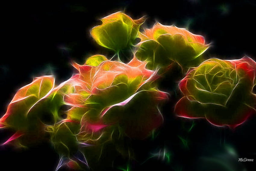 Helle fraktale Rosen, Rosen, Garten, Farben, Frühling, Orange, Sommer, Neon, abstrakt, grün, fraktal HD-Hintergrundbild