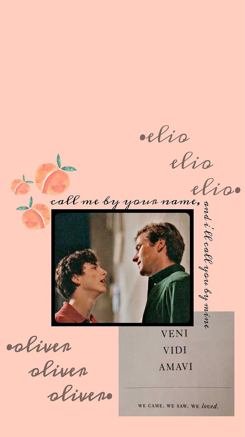 Call me by your name ideas in 2021. call me, your name, timothee chalamet, Call Me By Your Name Aesthetic HD phone wallpaper