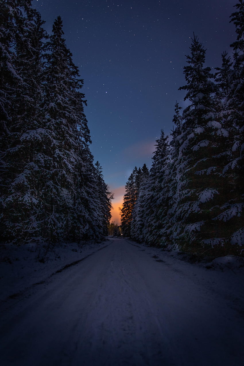 Road, Winter, Trees, Twilight, Snow, Dark, Dusk HD phone wallpaper