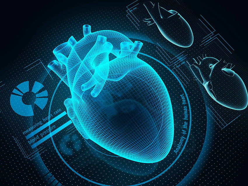 Was kann ein Herz-Scan erkennen?. Wie man ein gesundes Herz, Herz hält HD-Hintergrundbild