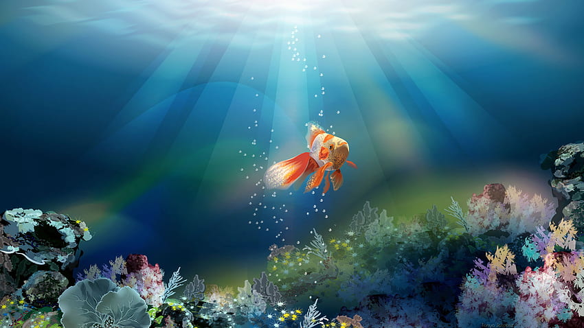 Fish - Gold Fish In Sea, Windows 8 Fish HD wallpaper