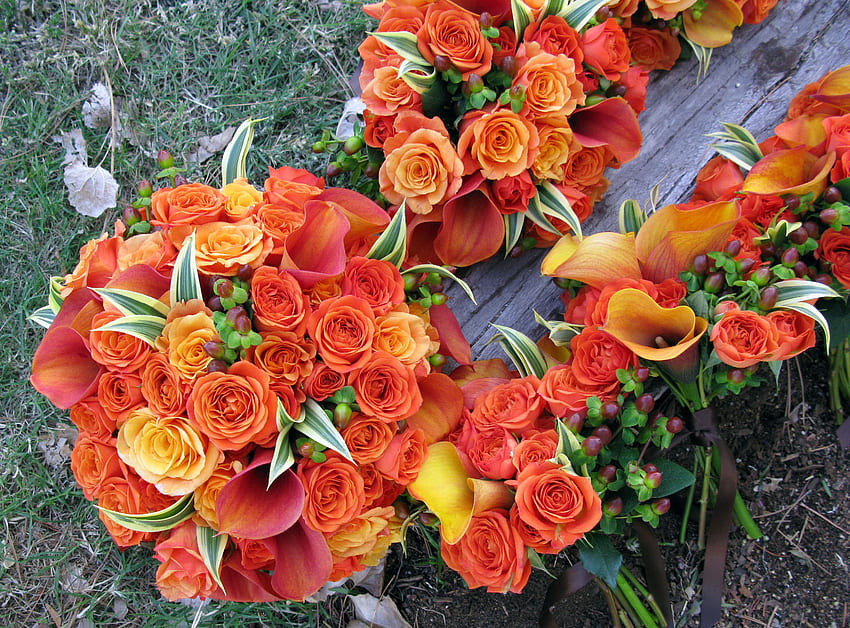 Goldene Rosen, golden, Rosen, Baumstamm, Orange, Lilie HD-Hintergrundbild