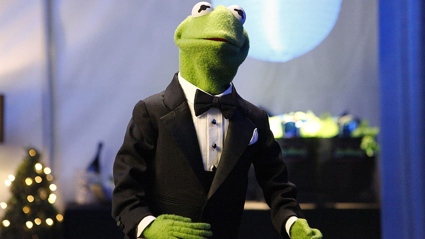 Kermit The Frog se hizo con un abrigo viejo, Meme Frog fondo de pantalla