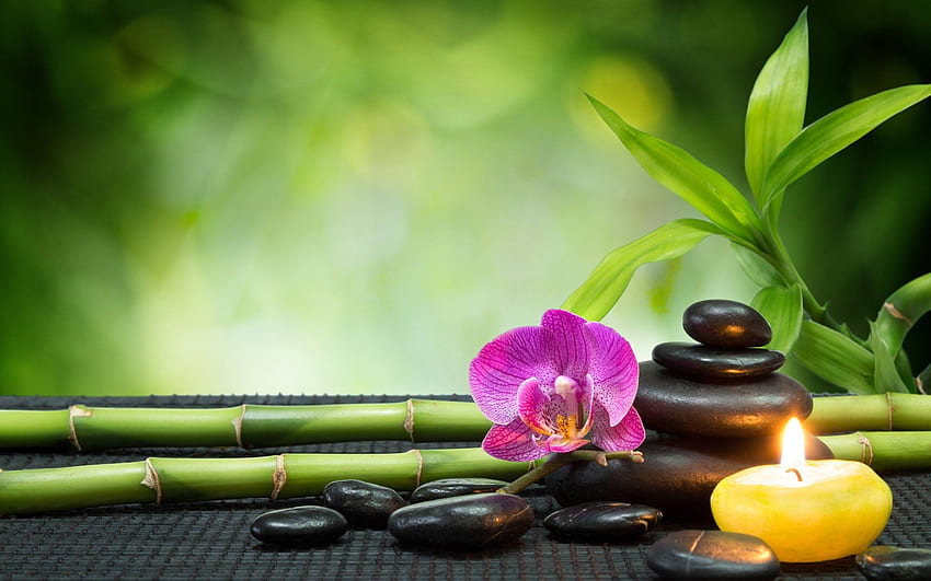 Massage Background, Therapy HD wallpaper