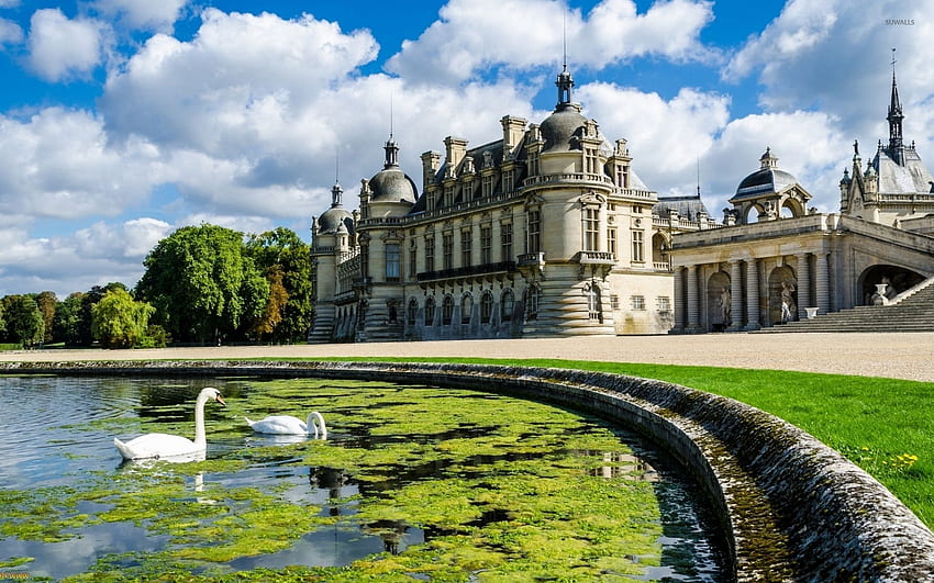 Swans in the lake by the Chateau de Chantilly - World HD wallpaper