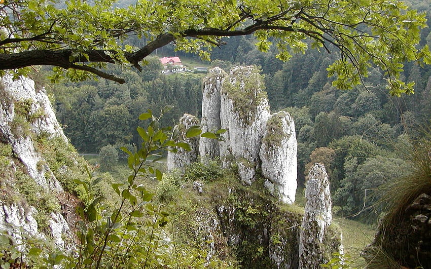 Rock Rekawica, Poland, trees, Rock, Mountains, Poland HD wallpaper