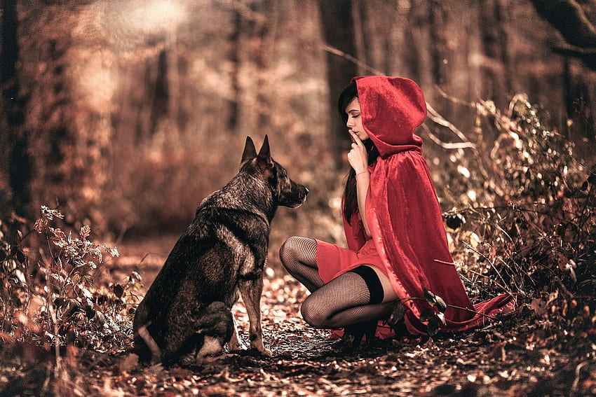 Little Red Riding Hood HD wallpaper | Pxfuel