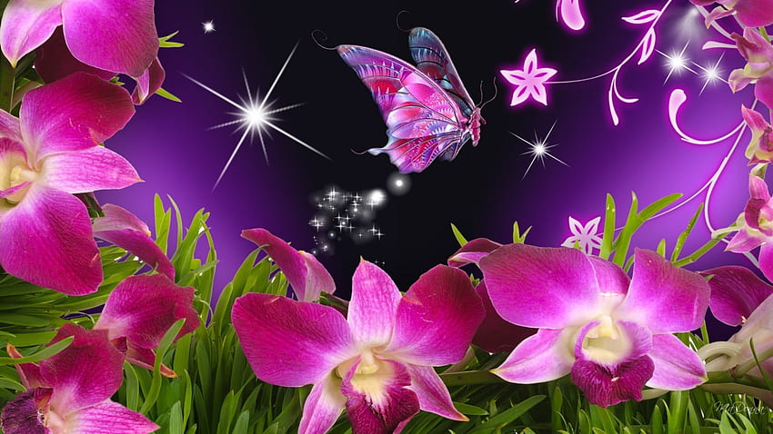 розови пеперуди, лилаво, розово, небе, цветя, звезди HD тапет