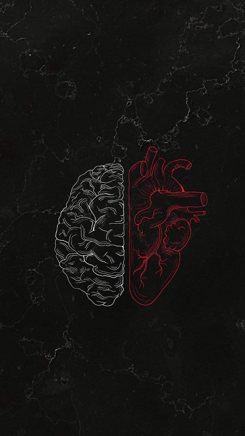 Brain and heart HD wallpapers | Pxfuel
