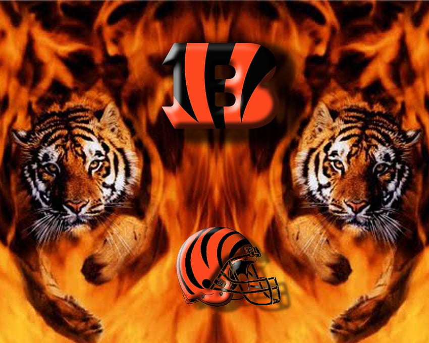 Cincinnati Bengalen. 5b cincinnati bengals bengals wird diese Saison die Division gewinnen, die s. Cincinnati Bengals, Bengals Fußball, Bengals, Bengals Logo HD-Hintergrundbild