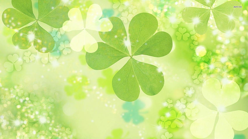 Four Leaf Clover Background, Water Clover HD wallpaper