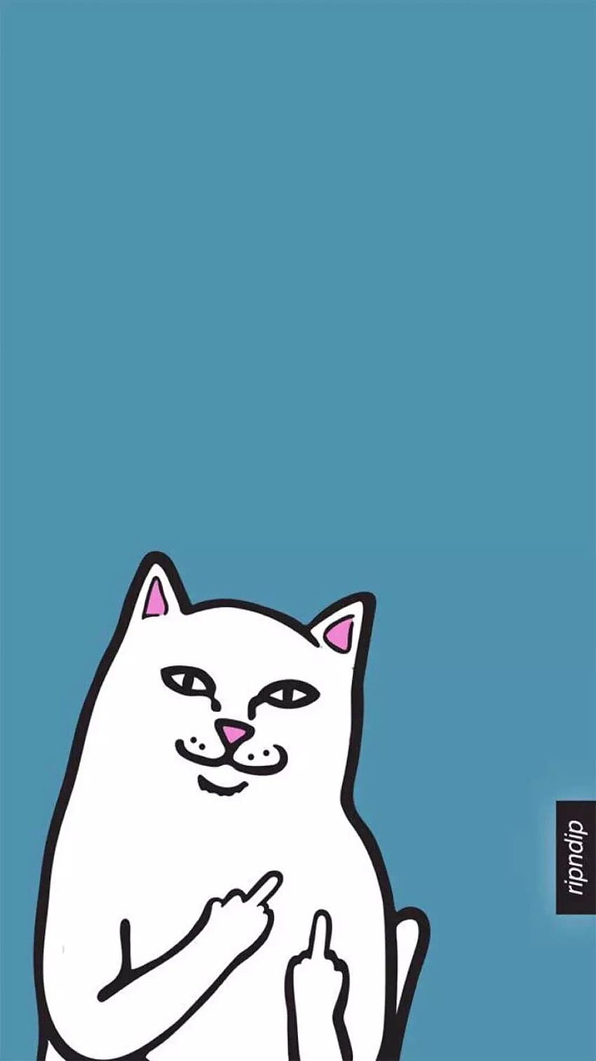 Swag Cat, Dope Cat HD phone wallpaper