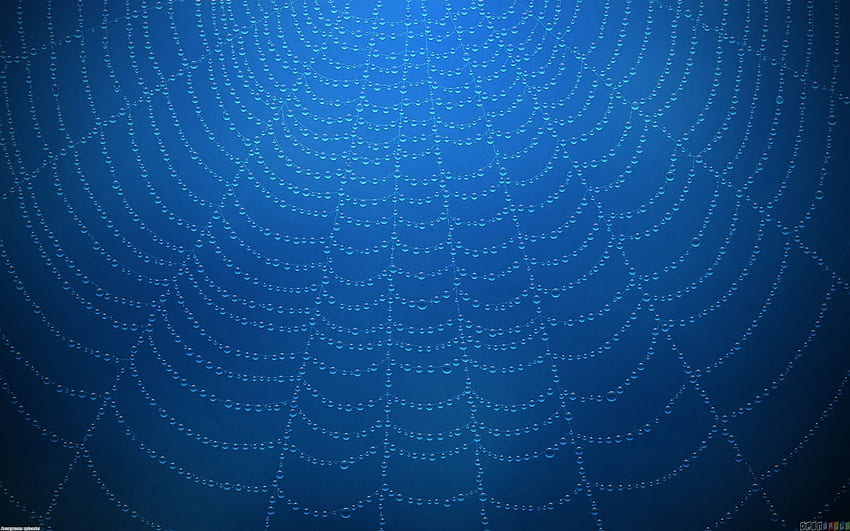 Spinnennetz blau, Spiderman blau HD-Hintergrundbild