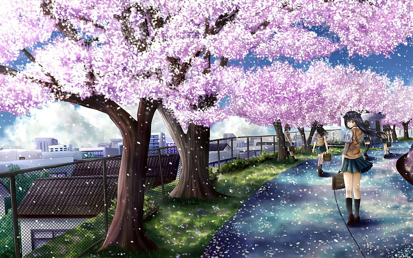 Anime sakura tree. Anime. Anime, Anime scenery HD wallpaper | Pxfuel
