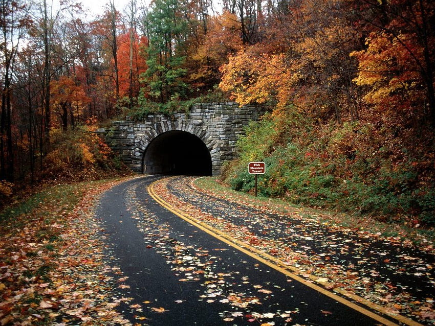 Blue Ridge Parkway – od Północnej Karoliny do Wirginii. Ładne jesienne kolory, jesienne góry NC Tapeta HD