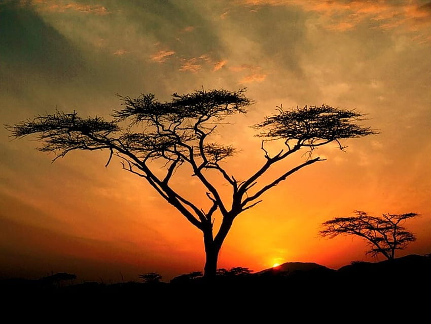 บรูน่า เอ กาลินญา ดีแองโกลา Pôr do sol africano, เนเตอซา เบลา, เนเชอเรซา วอลล์เปเปอร์ HD