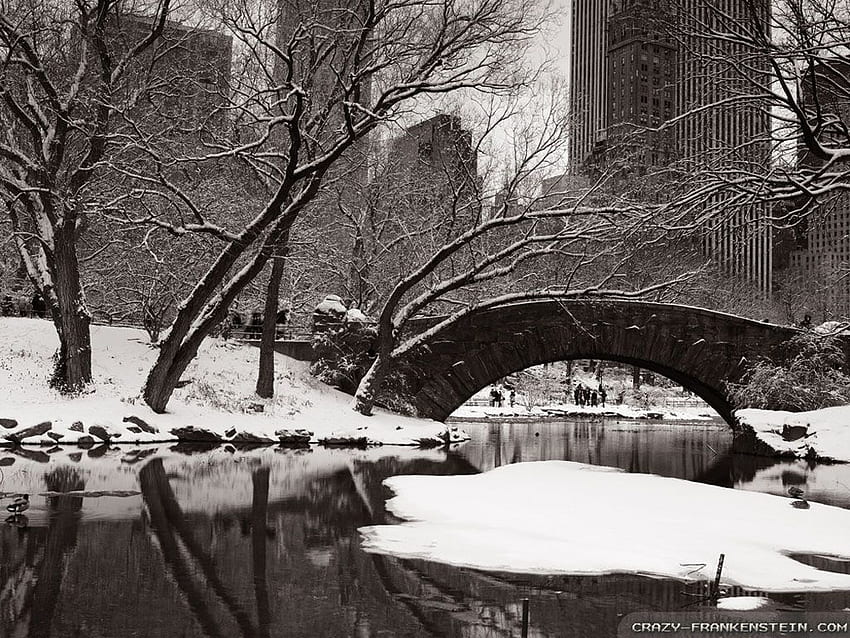 Central Park Winter Wonderland [] for your , Mobile & Tablet. Explore Central Park Winter . Central Park Spring , NYC Spring , Central Park Fall, Central Park Black and White HD wallpaper