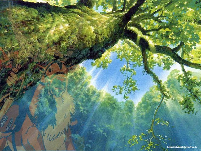 Anime NAture, 나무 그늘, 자연, 사자, 사자 왕 HD 월페이퍼