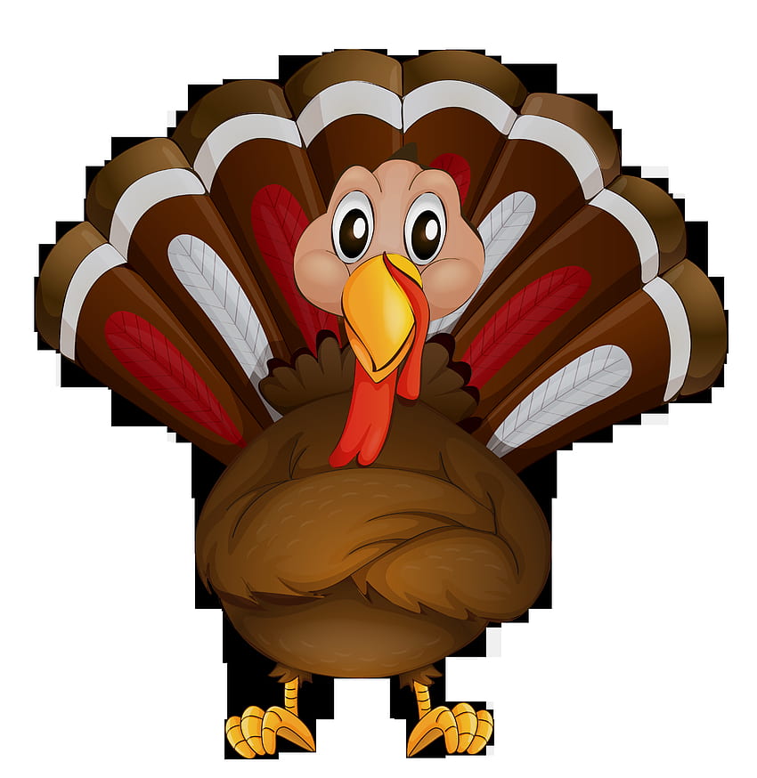 Thanksgiving turkey cartoon background HD wallpapers | Pxfuel