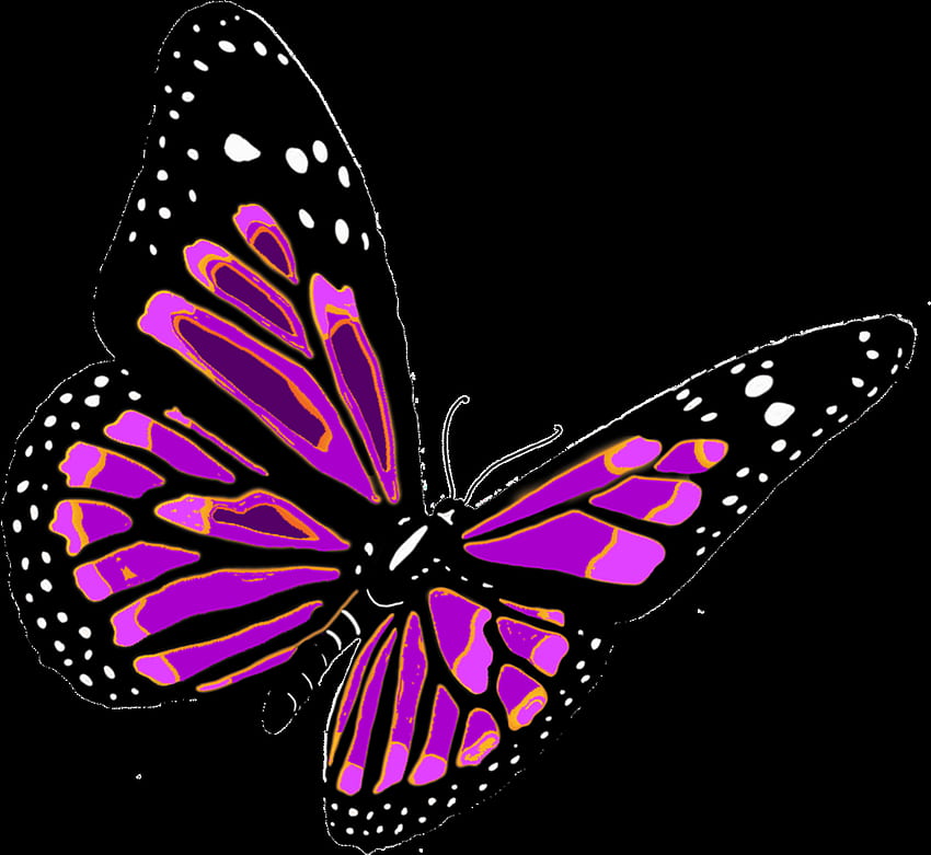 Butterfly 3D Png, Transparent Butterfly HD wallpaper | Pxfuel