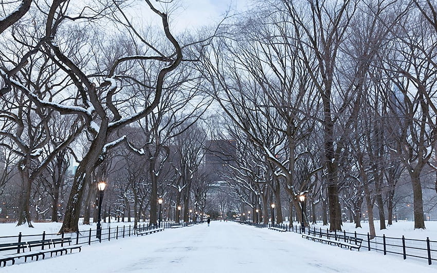 New York City USA manhattan central park Allee, Manhattan Winter HD ...