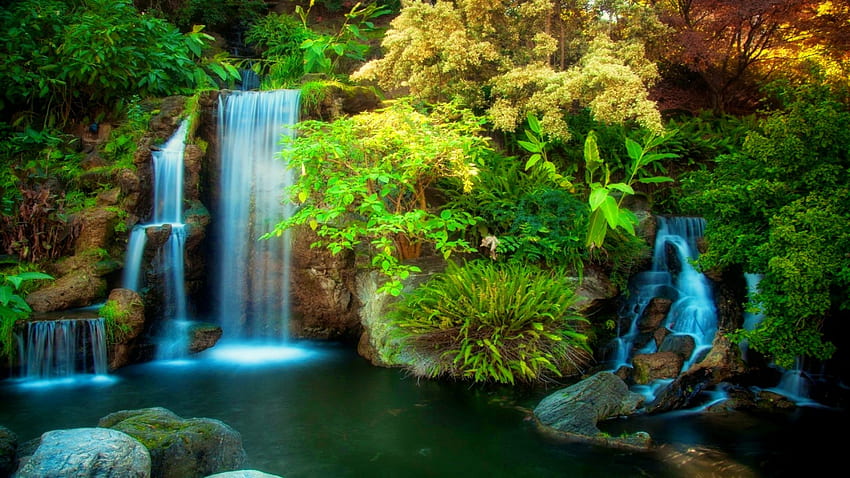 Forest fall, creek, fall, beautiful, waterfall, cascades, greenery, nature, forest, stream HD wallpaper