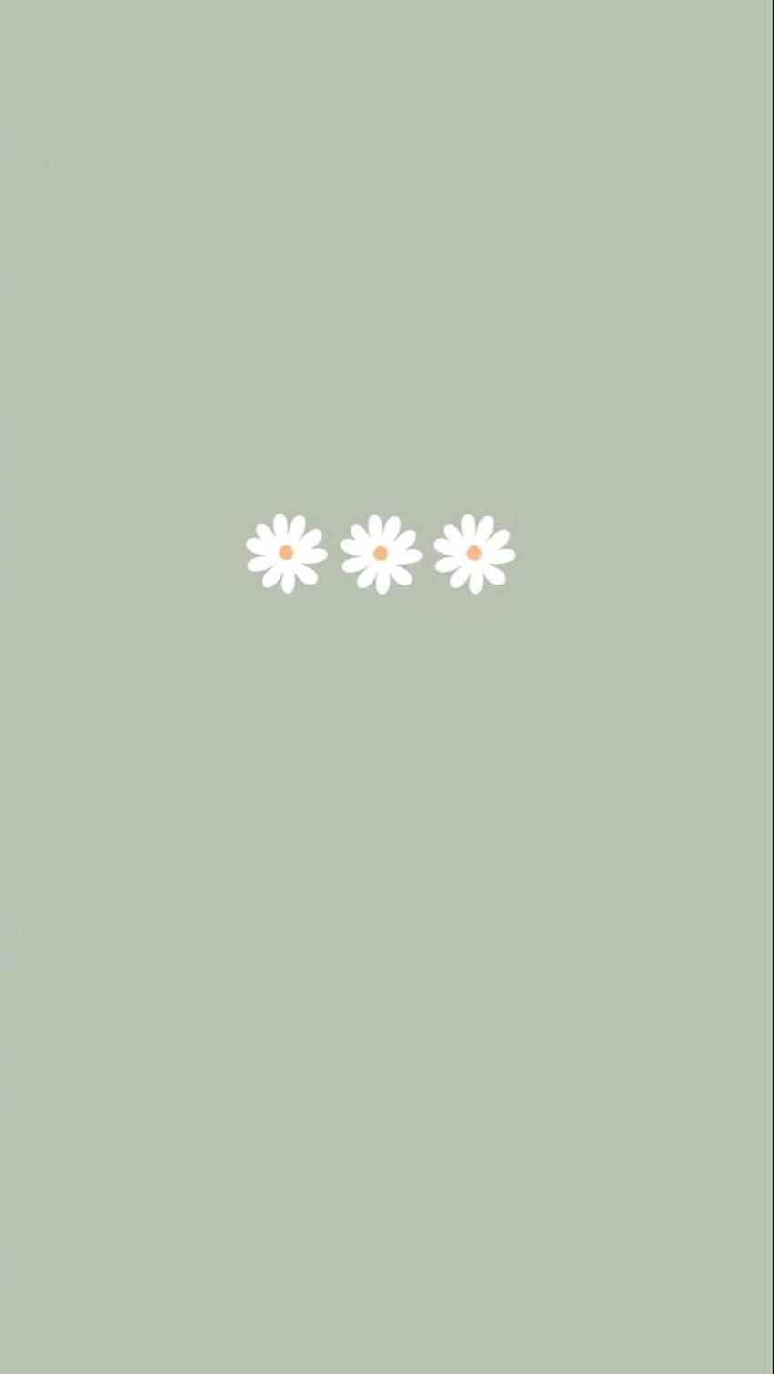 Tert on •. iPhone green, Simple iphone , Daisy, Simple Green Aesthetic ...