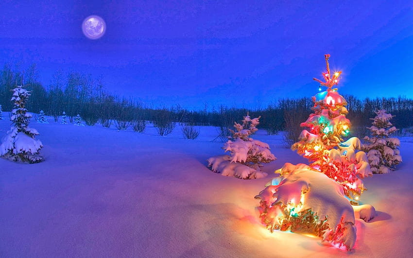 雪に覆われたクリスマスの背景、雪に覆われたクリスマスの夜 高画質の壁紙